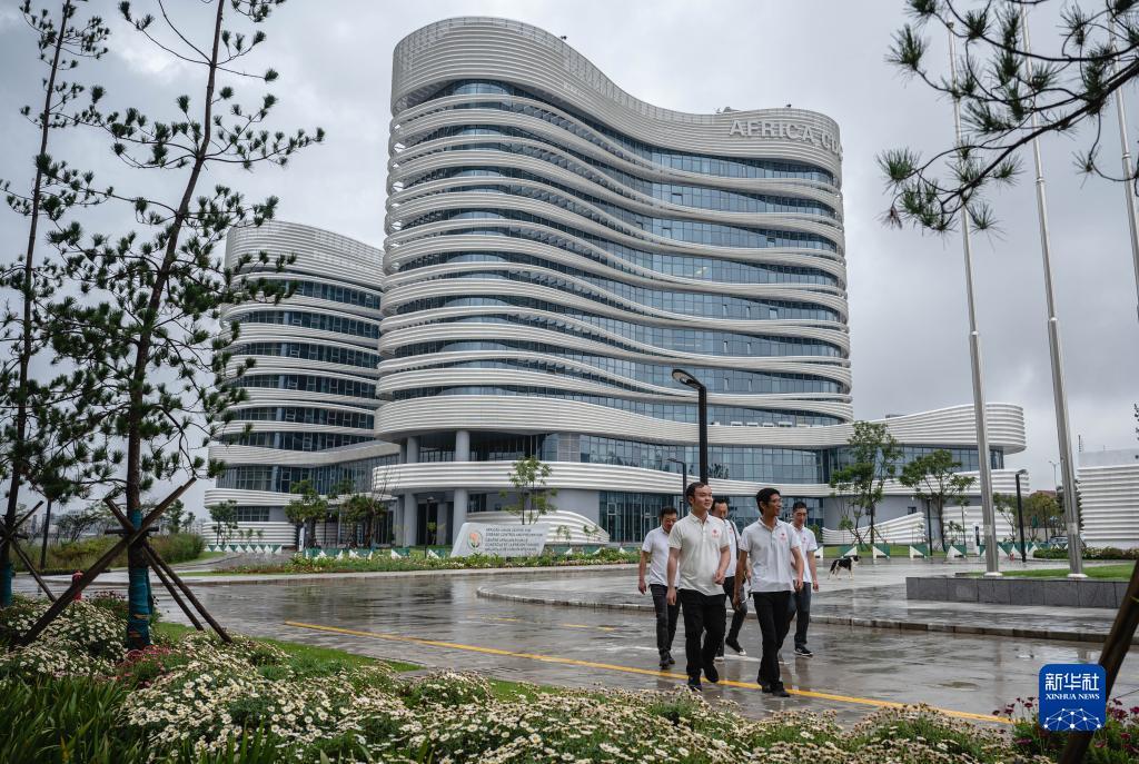 全鲨银鲨下载